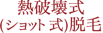 熱破壊式(ショット式)脱毛